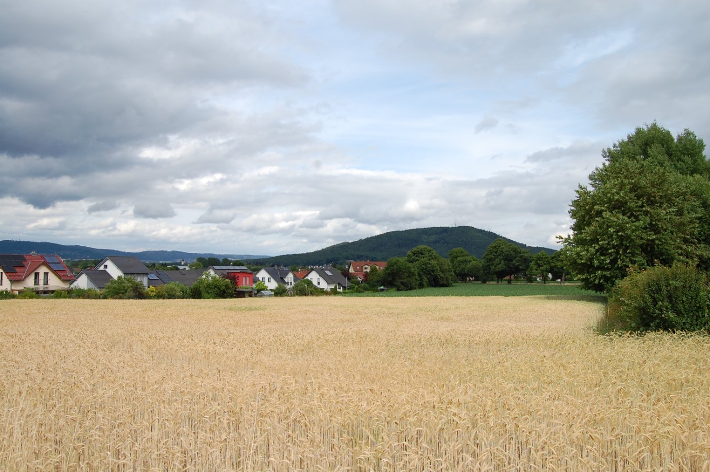 Landschaft von Neustadt
