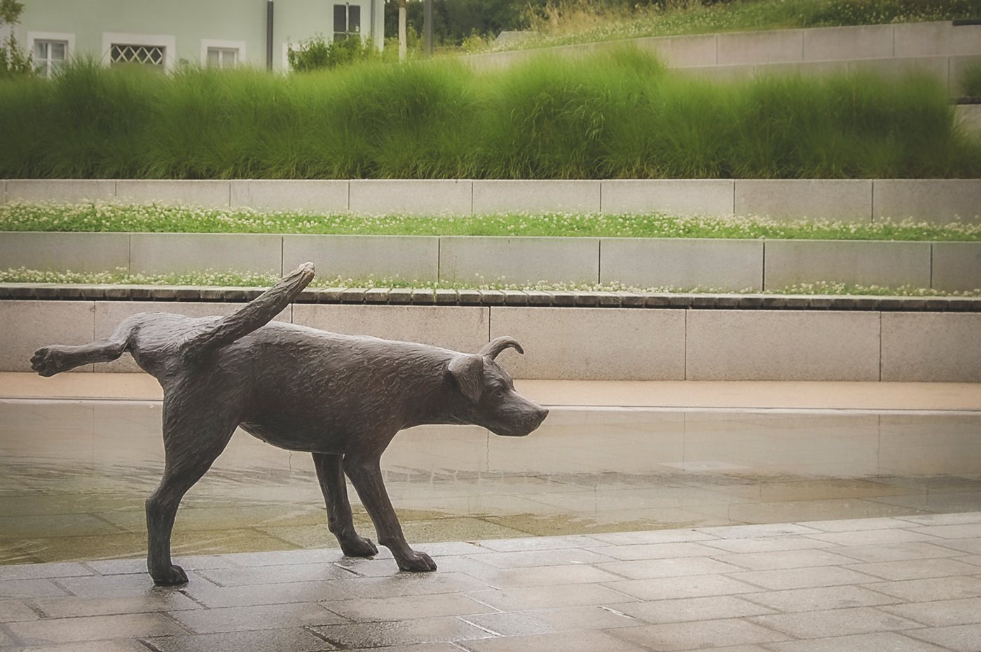 Rathausplatz Neustadt